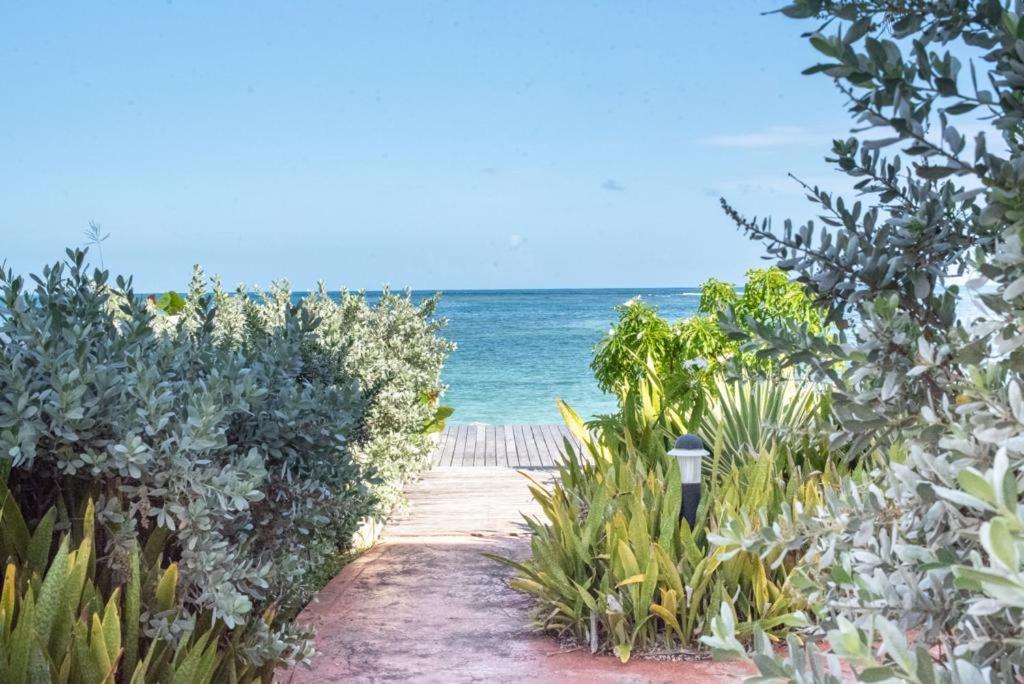 Apartamento Pasha - Ocean View Sainte-Anne  Exterior foto