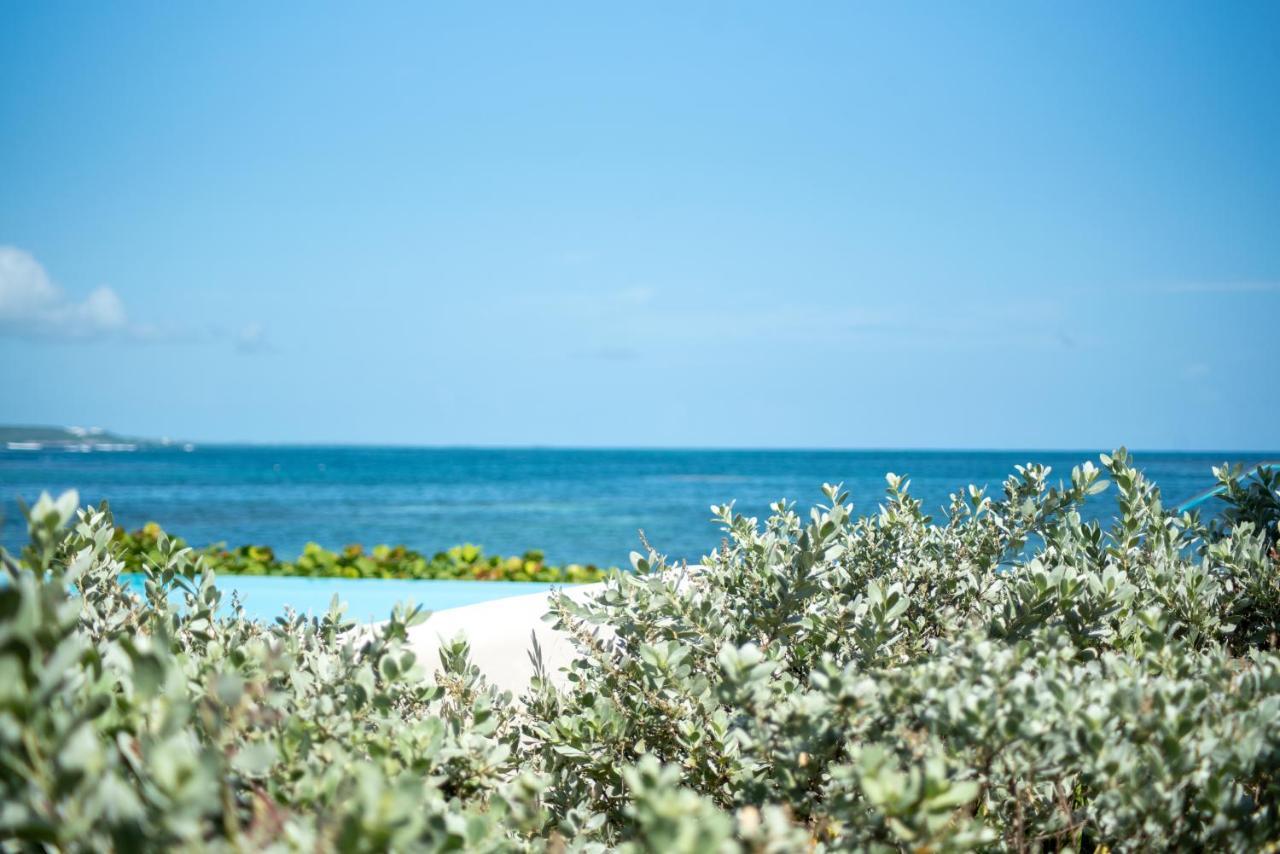 Apartamento Pasha - Ocean View Sainte-Anne  Exterior foto